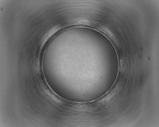 X0000062870780200601131440