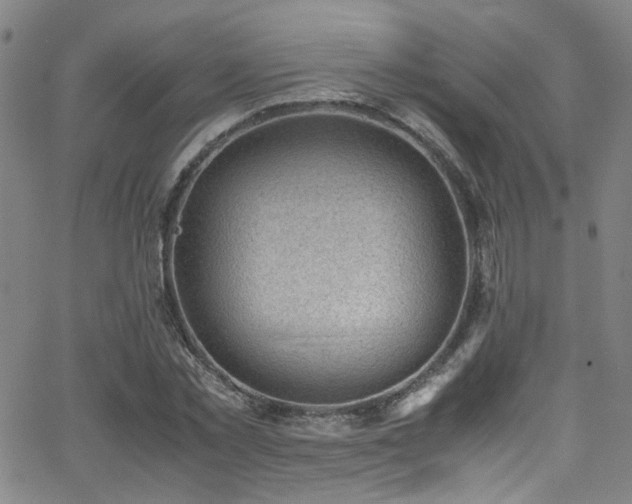 X0000062870781200601131440