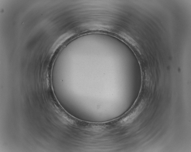 X0000062870782200601131440