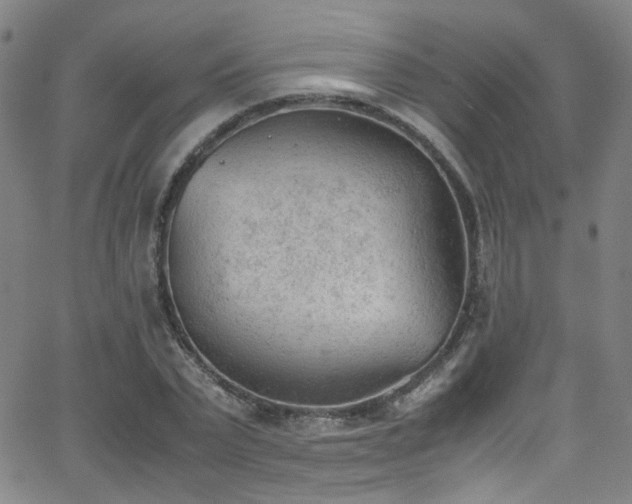 X0000062870783200601131440