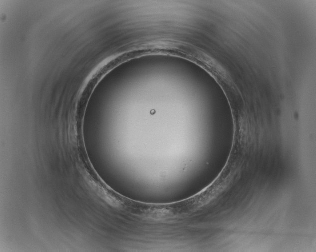 X0000062870784200601131440