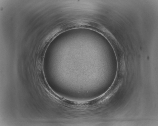 X0000062870785200601131440