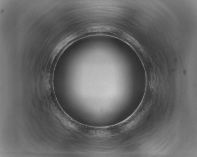 X0000062870786200601131440