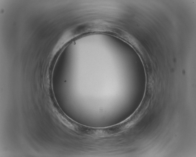 X0000062870787200601131440