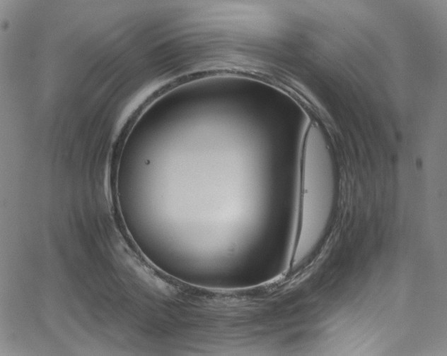 X0000062870788200601131440