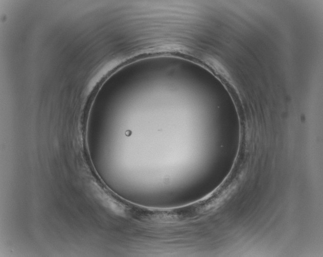 X0000062870789200601131440