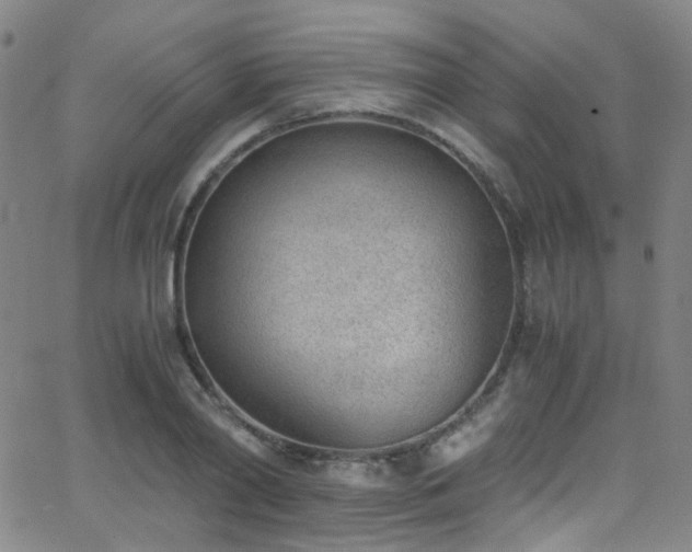 X0000062870790200601131440