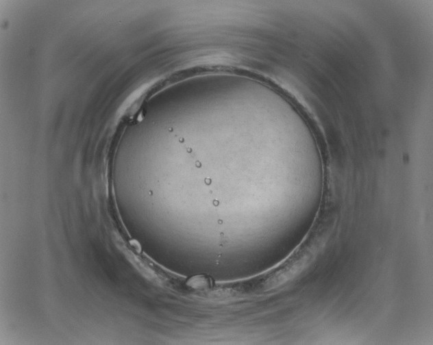 X0000062870791200601131440