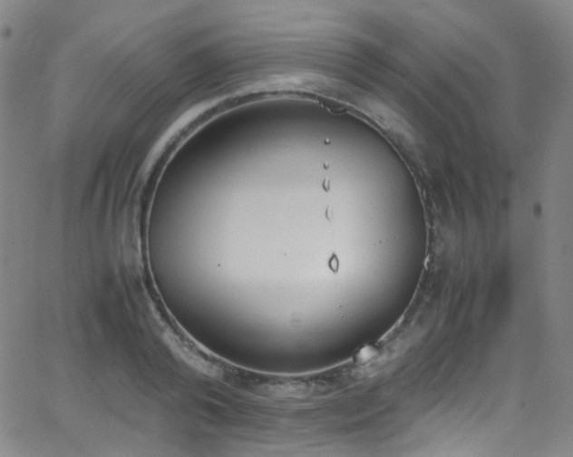 X0000062870792200601131440