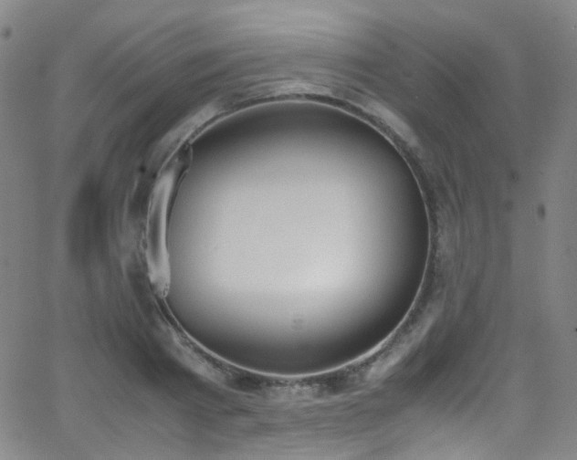 X0000062870793200601131440