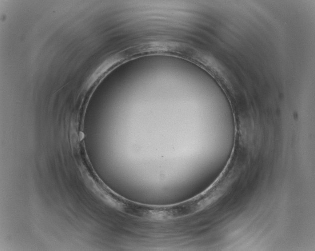 X0000062870794200601131440