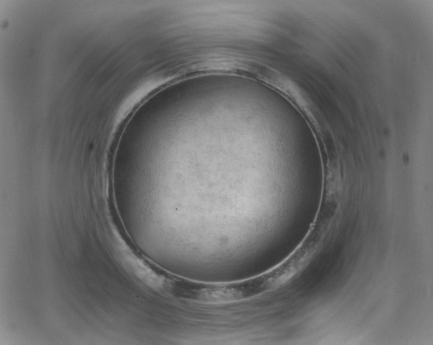 X0000062870795200601131440