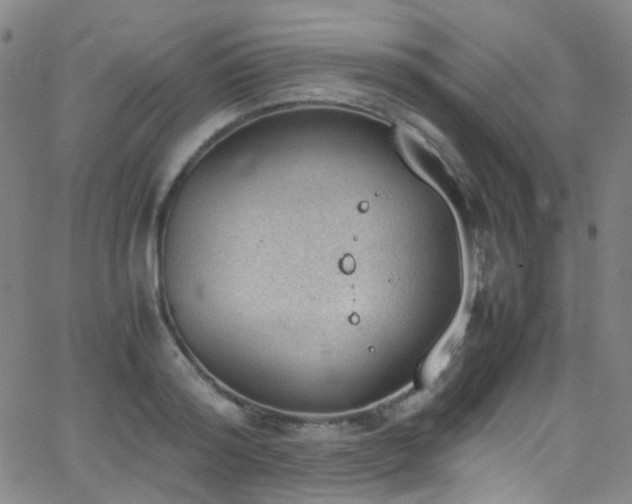 X0000062870796200601131440