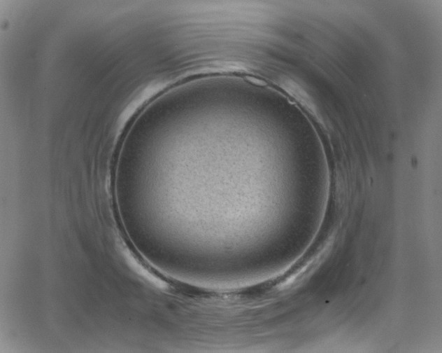 X0000062870797200601131440