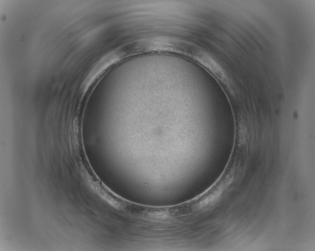 X0000062870798200601131440