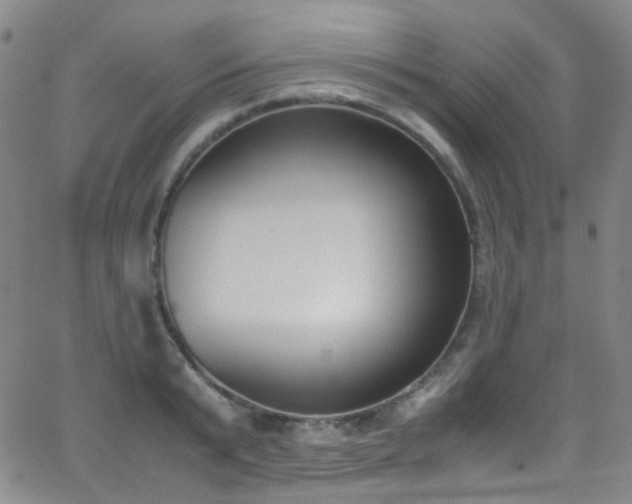 X0000062870799200601131440