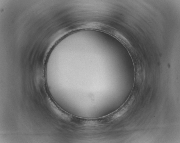 X0000062870800200601131440