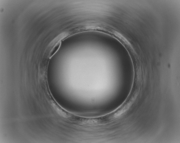 X0000062870801200601131440