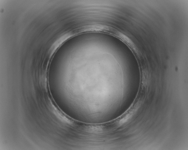 X0000062870802200601131440