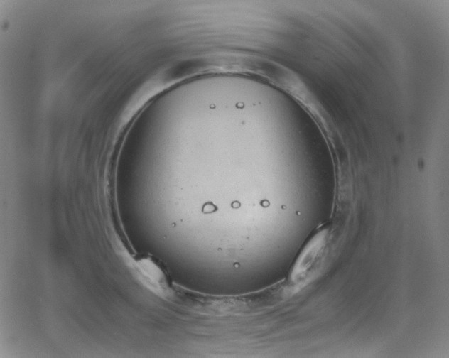 X0000062870803200601131440