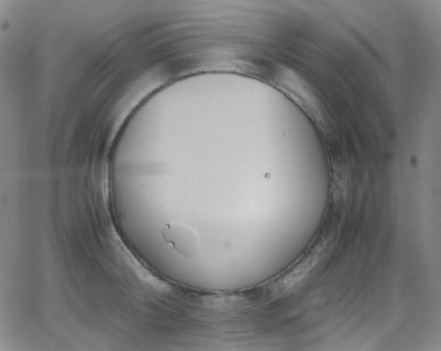 X0000062870804200601131440