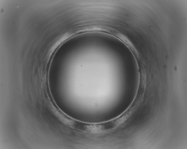 X0000062870805200601131440