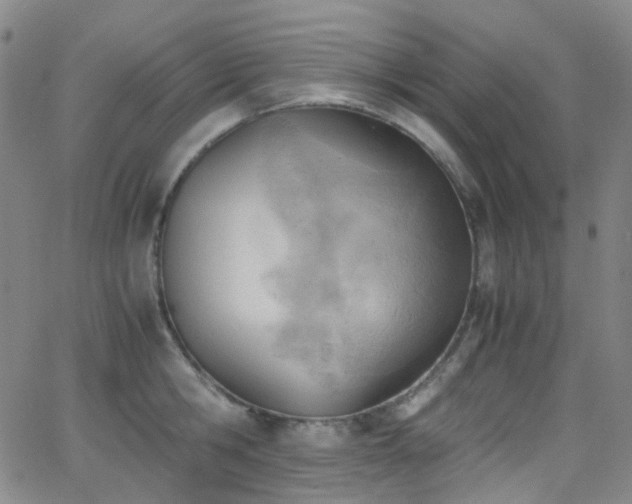 X0000062870806200601131440