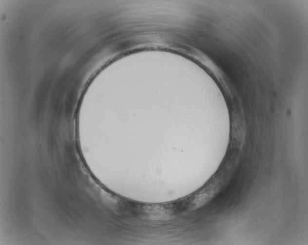 X0000062870807200601131440