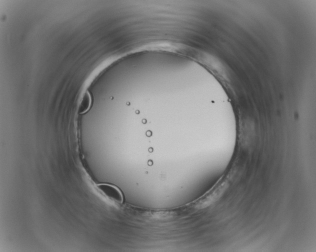 X0000062870808200601131440