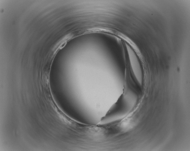 X0000062870809200601131440