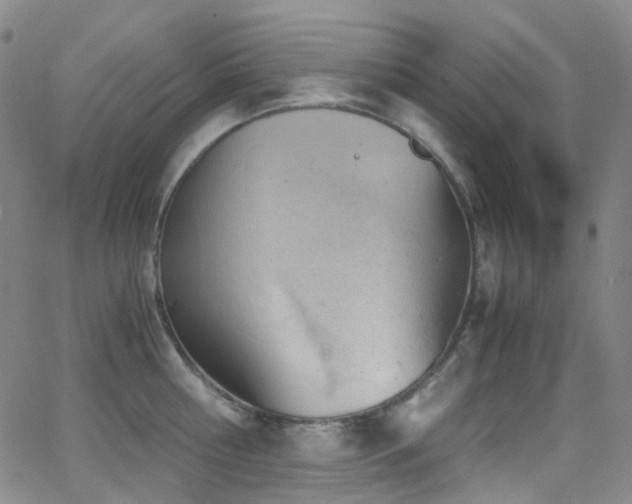 X0000062870810200601131440