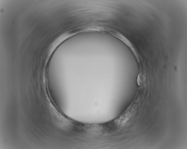 X0000062870811200601131440