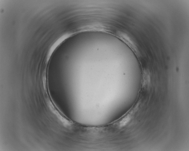 X0000062870812200601131440