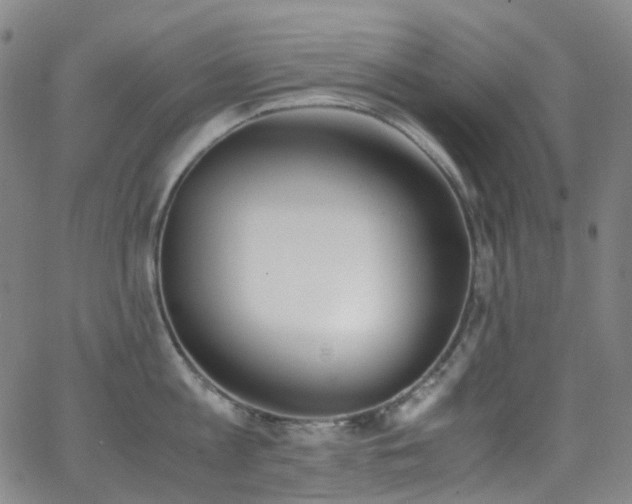 X0000062870813200601131440