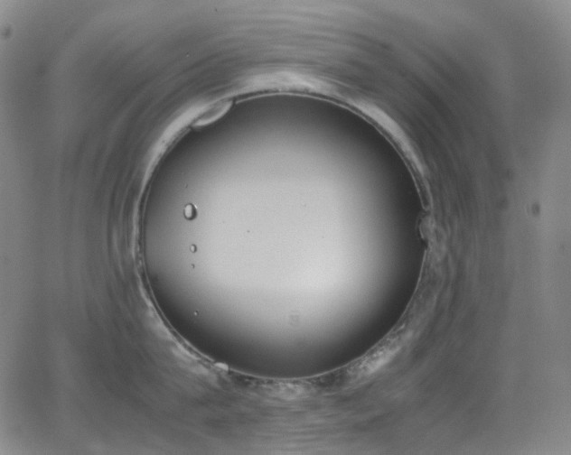 X0000062870815200601131440