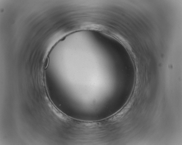 X0000062870816200601131439