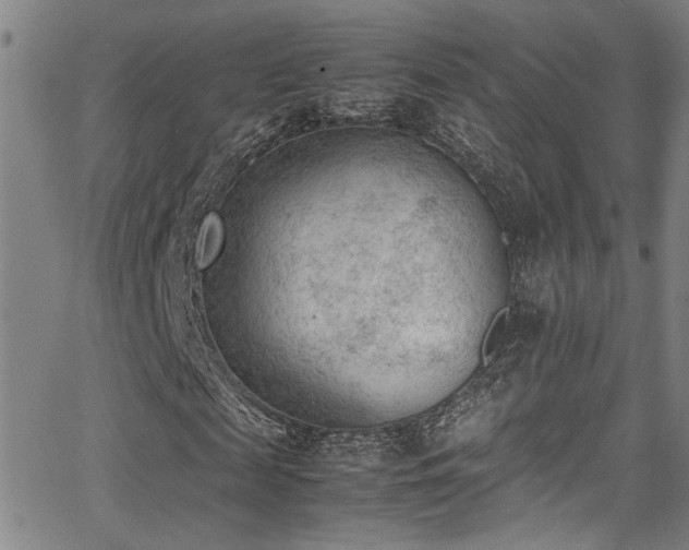 X0000062870817200601131439