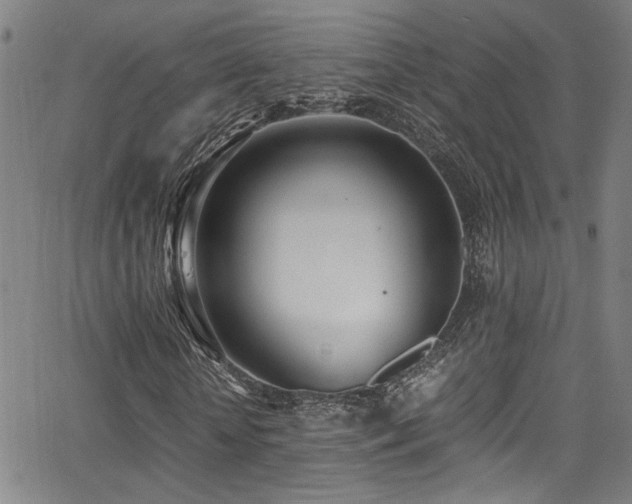 X0000062870818200601131439