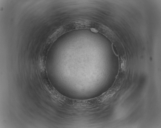 X0000062870819200601131439