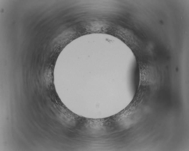 X0000062870820200601131439