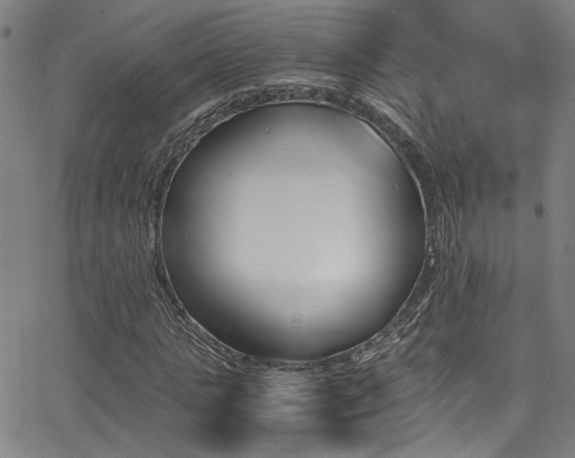 X0000062870821200601131439