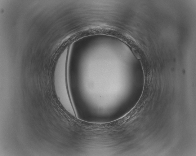 X0000062870822200601131439