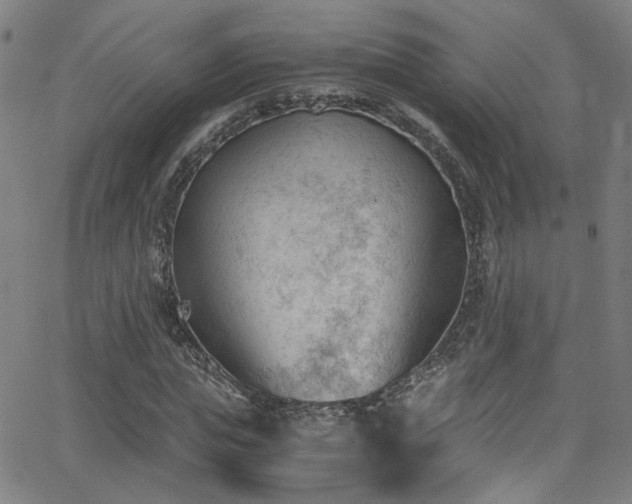 X0000062870823200601131439