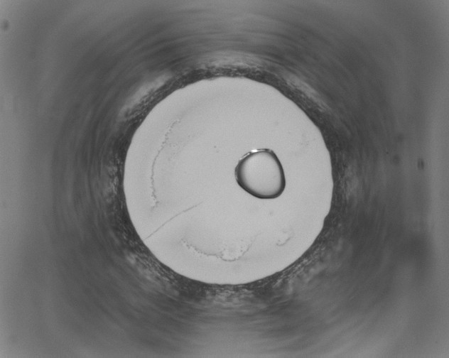 X0000062870824200601131439