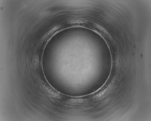 X0000062870825200601131439