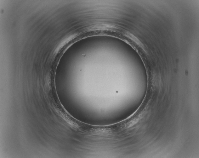 X0000062870826200601131439