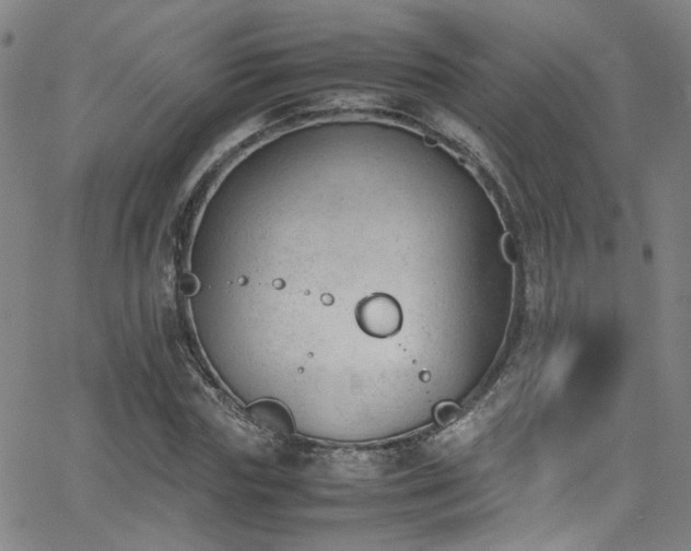 X0000062870827200601131439