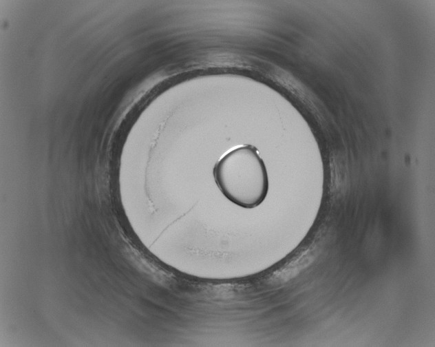 X0000062870828200601131439