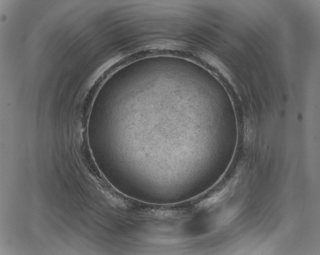 X0000062870829200601131439