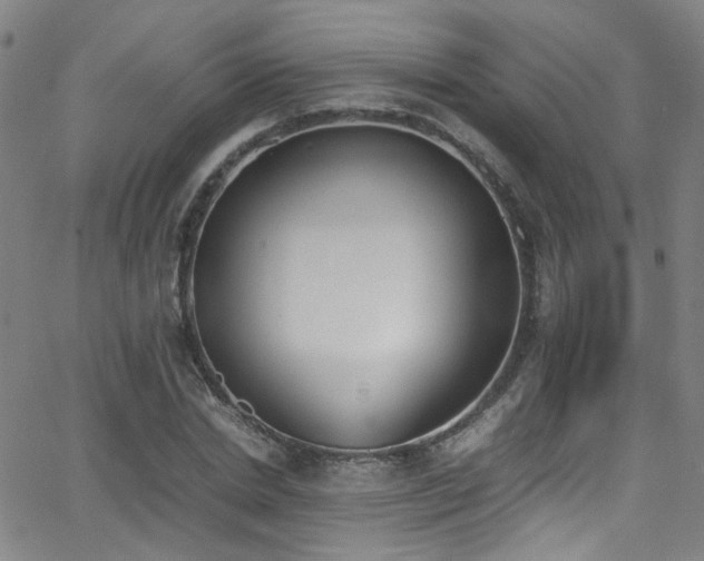 X0000062870830200601131439